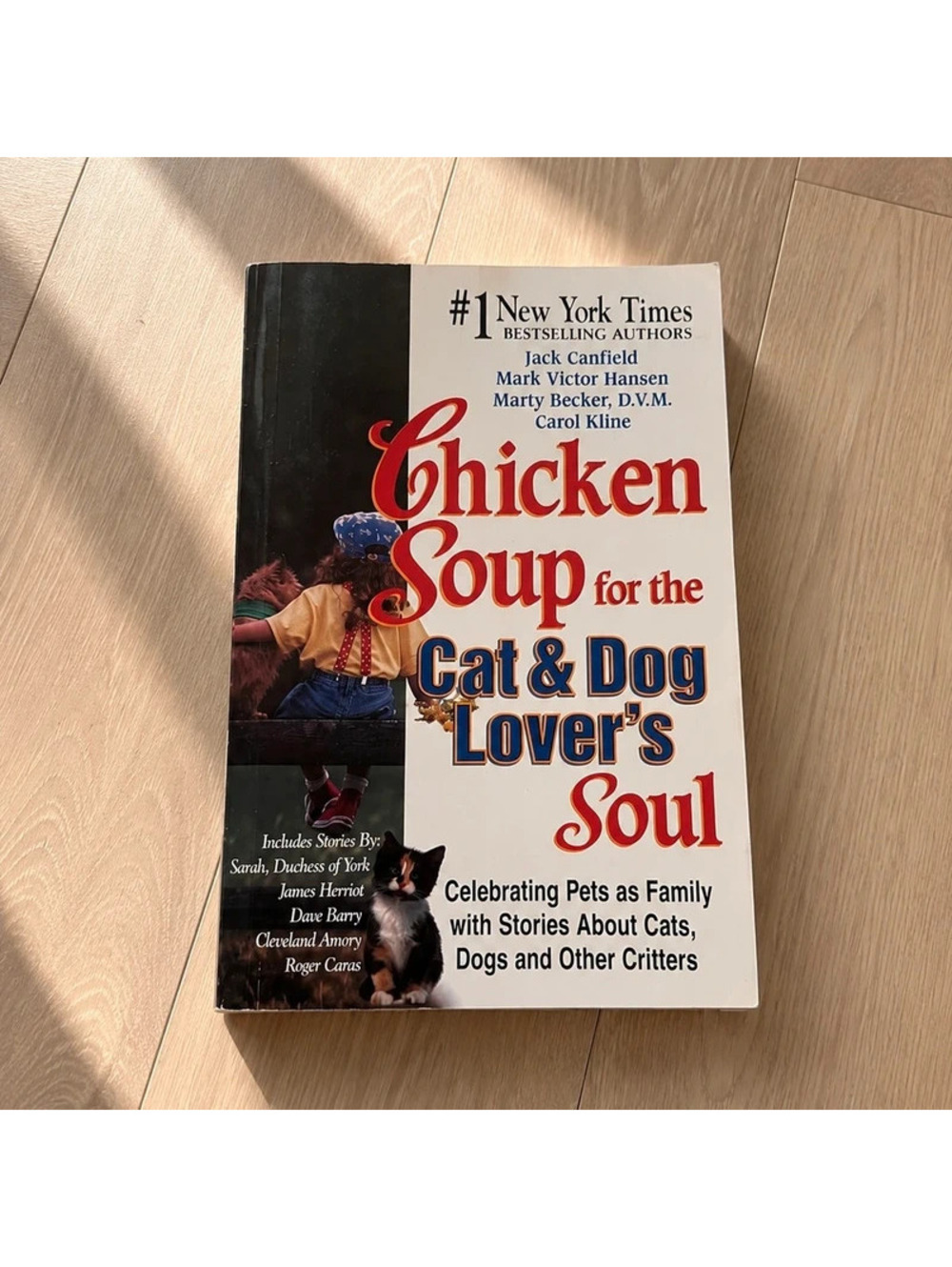 Chicken Soup for the Cat & Dog Lover’s Soul Paperback | Pet Stories Book